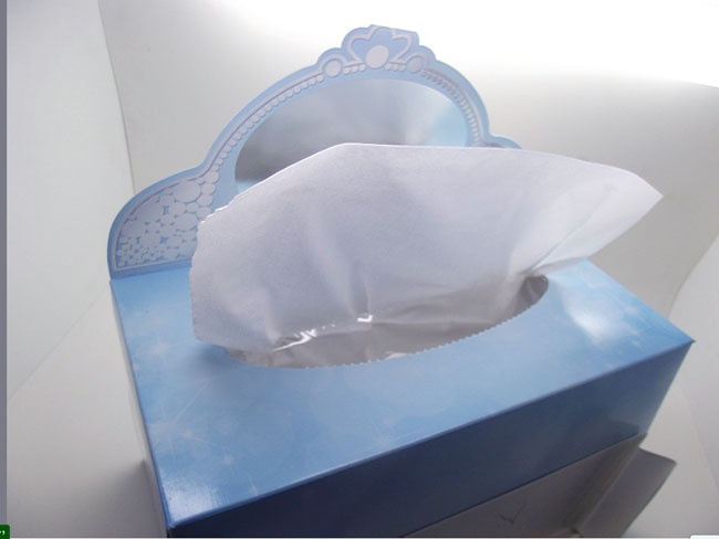 Rectangle tissue box with flap