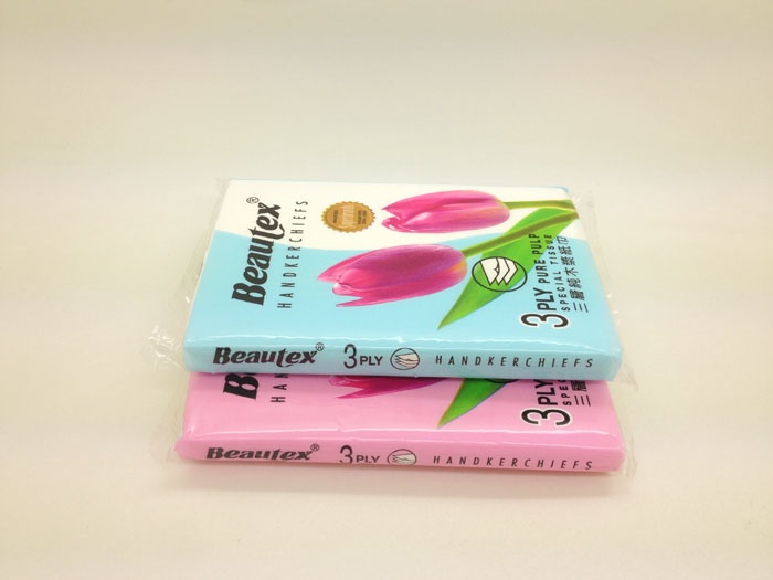 Beauty pocket tissue
